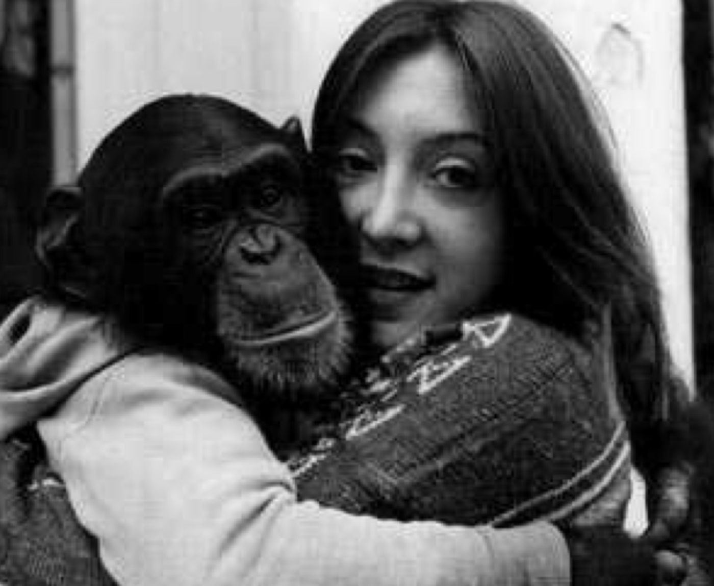 Nim Chimpsky