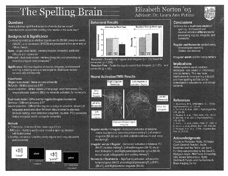 The Spelling Brain